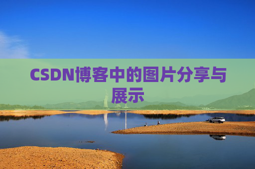 CSDN博客中的图片分享与展示